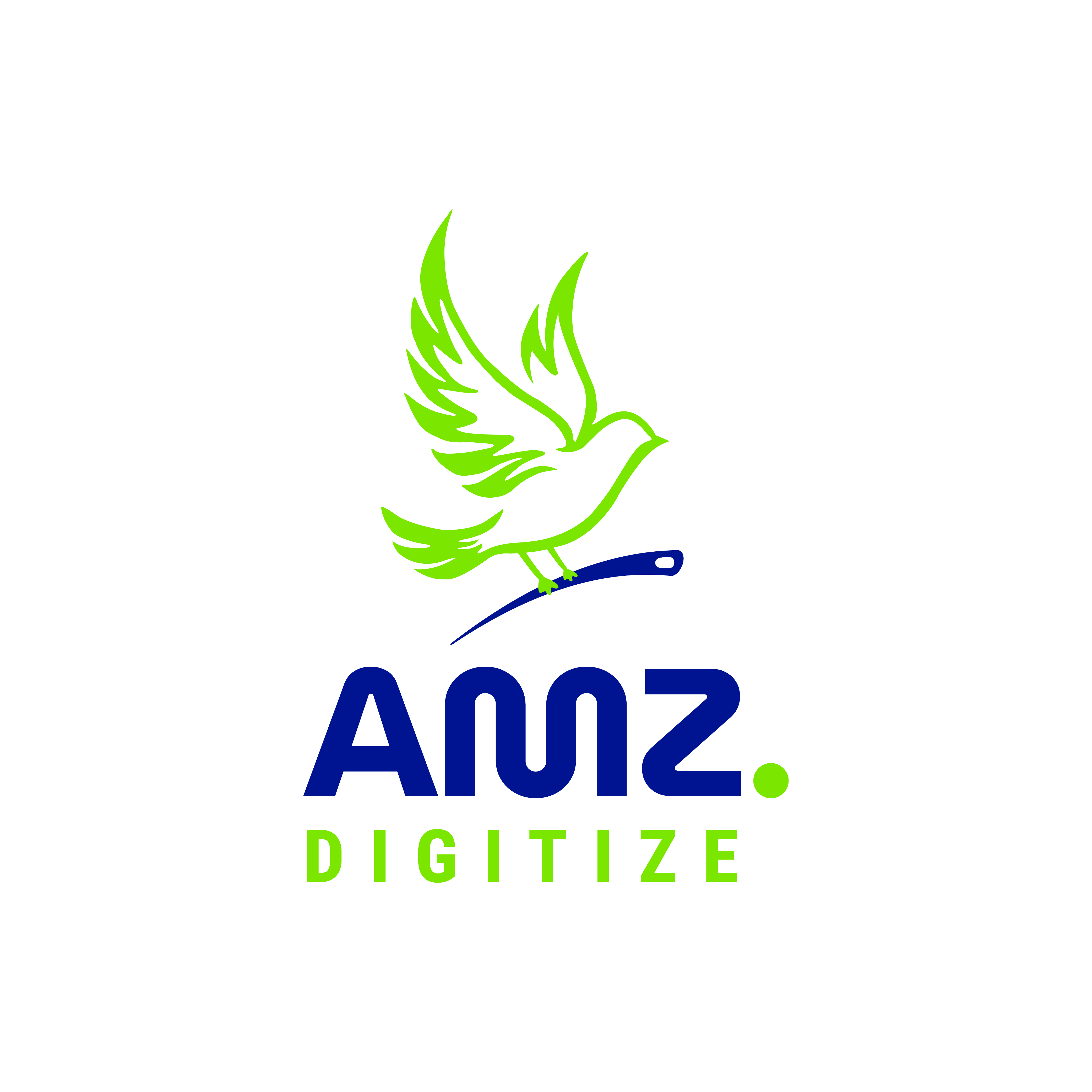 amzdigitize amzdigitize